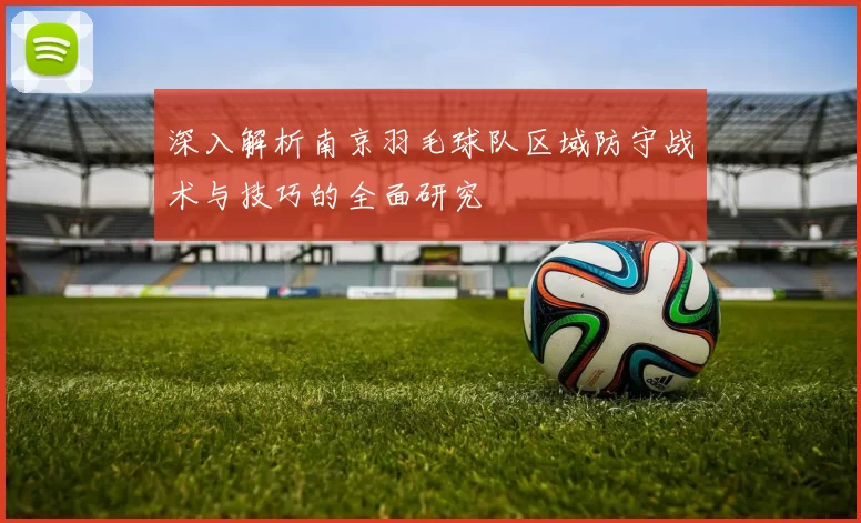 深入解析南京羽毛球队区域防守战术与技巧的全面研究